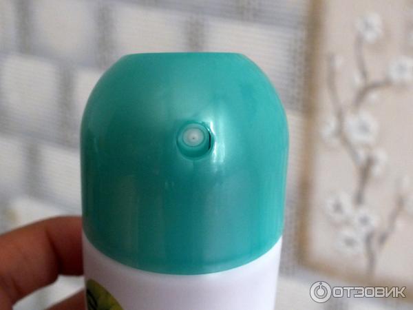 Дезодорант-спрэй Garnier Mineral deodorant 48 часов защиты фото