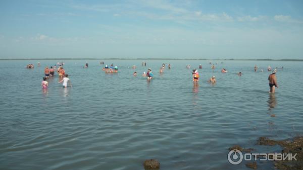 База отдыха Гуселетовские плесы (Россия, Алтайский край) фото