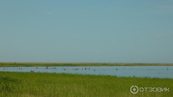 База отдыха Гуселетовские плесы (Россия, Алтайский край) фото