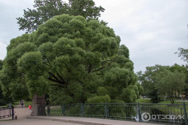 Парк Екатерингоф (Россия, Санкт-Петербург) фото