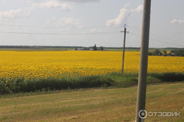 Рельсовый автобус Запорожье- Бердянск фото