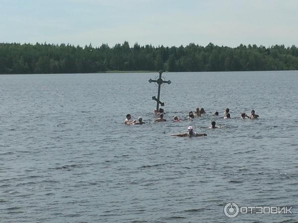 Антониево-Дымский мужской монастырь (Россия, Ленинградская область) фото