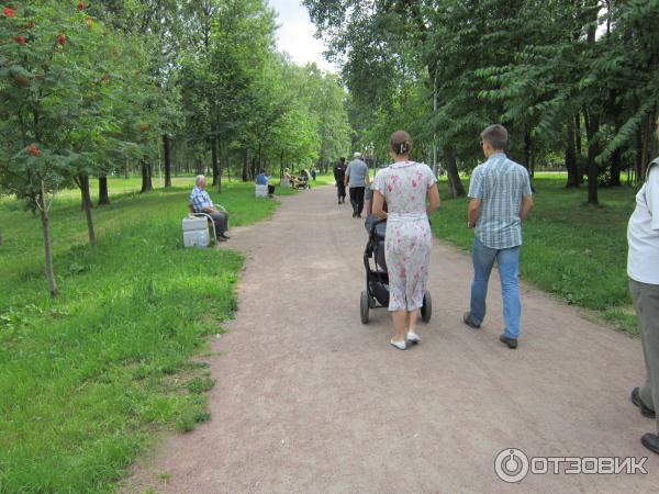 Прогуливающиеся и патрулирующий