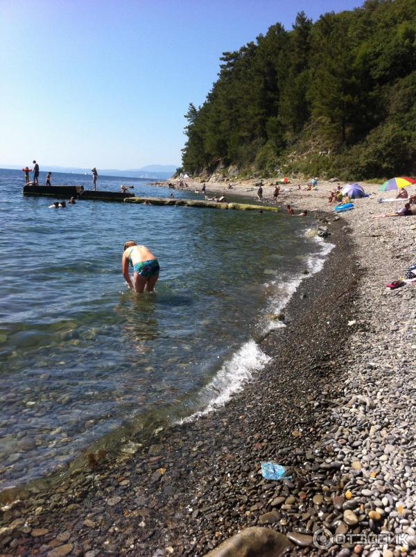 Автокемпинг Агрия (Краснодарский край, пос. Ольгинка) фото