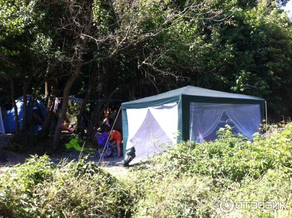 Автокемпинг Агрия (Краснодарский край, пос. Ольгинка) фото