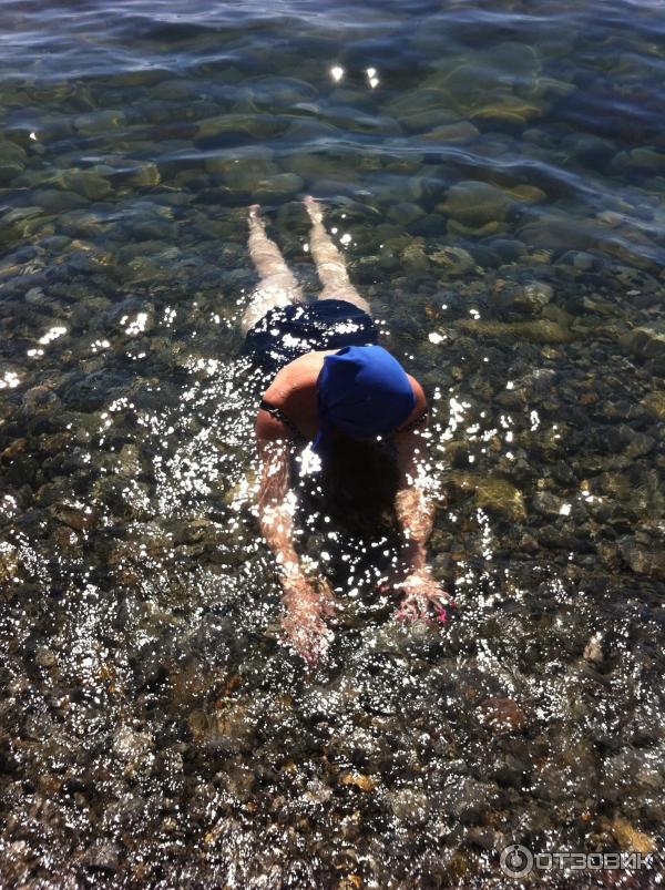 Автокемпинг Агрия (Краснодарский край, пос. Ольгинка) фото