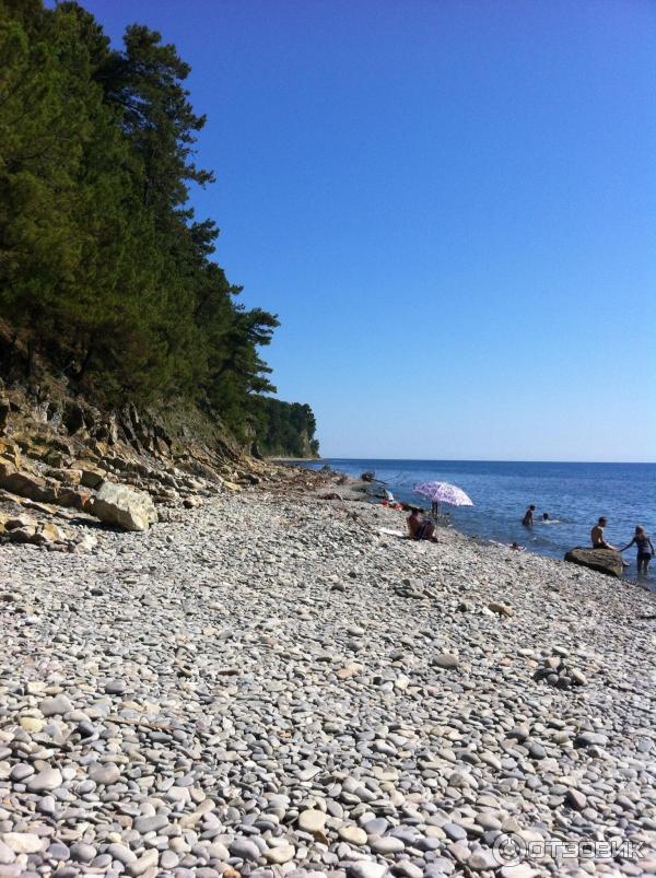 Автокемпинг Агрия (Краснодарский край, пос. Ольгинка) фото