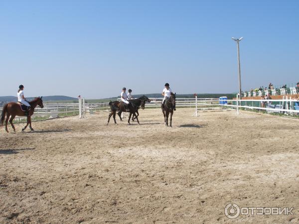 Конно-спортивный клуб Белая лошадь (Россия, Свердловская область) фото