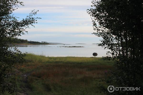 Соловецкие острова (Россия, Архангельская область) фото