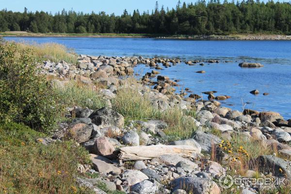 Соловецкие острова (Россия, Архангельская область) фото