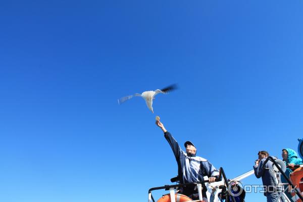 Соловецкие острова (Россия, Архангельская область) фото