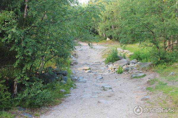 Соловецкие острова (Россия, Архангельская область) фото