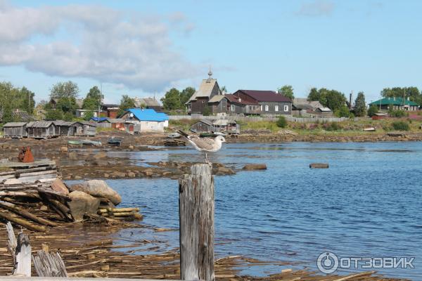 Соловецкие острова (Россия, Архангельская область) фото