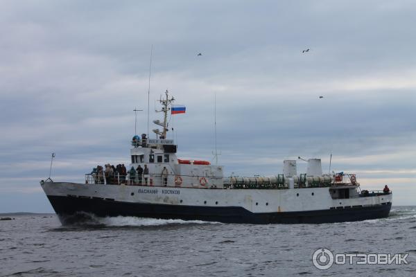 Соловецкие острова (Россия, Архангельская область) фото