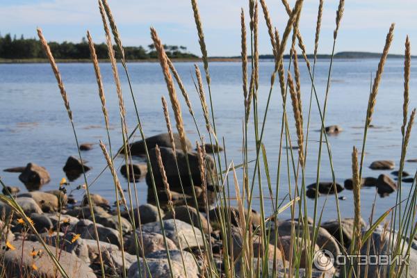 Соловецкие острова (Россия, Архангельская область) фото