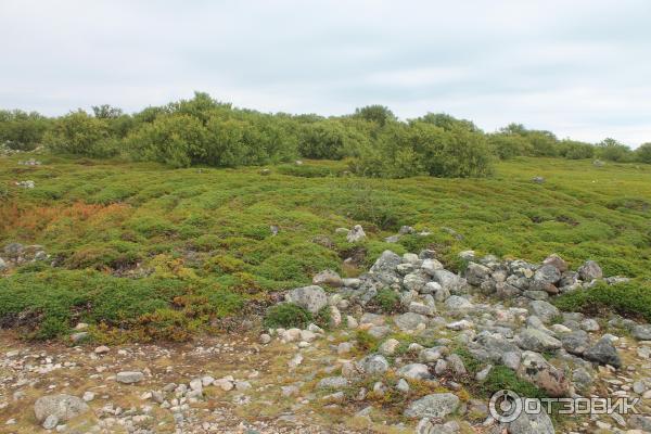 Соловецкие острова (Россия, Архангельская область) фото