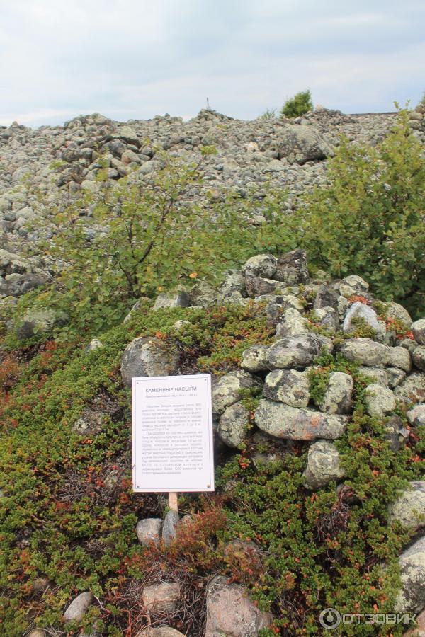 Соловецкие острова (Россия, Архангельская область) фото