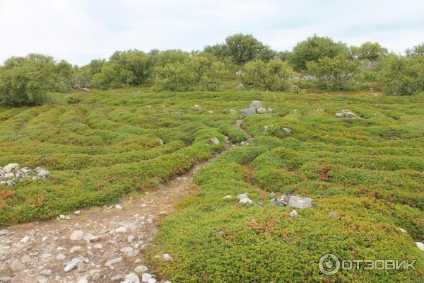 Соловецкие острова (Россия, Архангельская область) фото