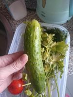 Контейнер Tupperware "Умный холодильник" фото