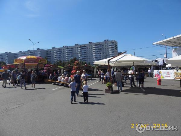 Фестиваль Московское варенье 2015 (Россия, Москва) фото