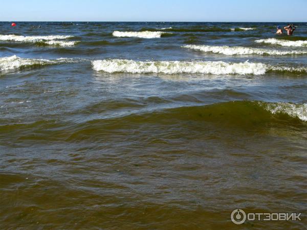 Пляж Ласковый в Солнечном-11