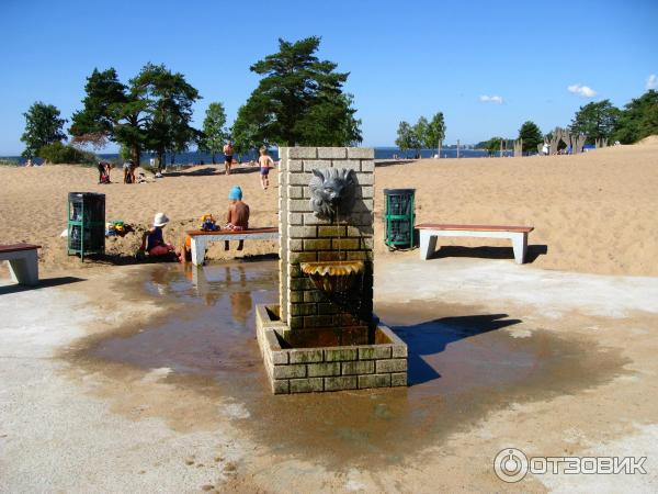 Пляж Ласковый в Солнечном-35