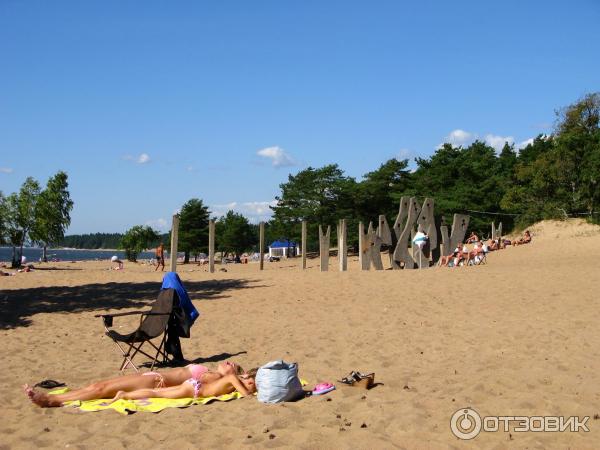Пляж Ласковый в Солнечном-23