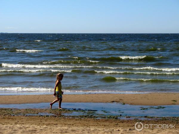 Пляж Ласковый в Солнечном-13