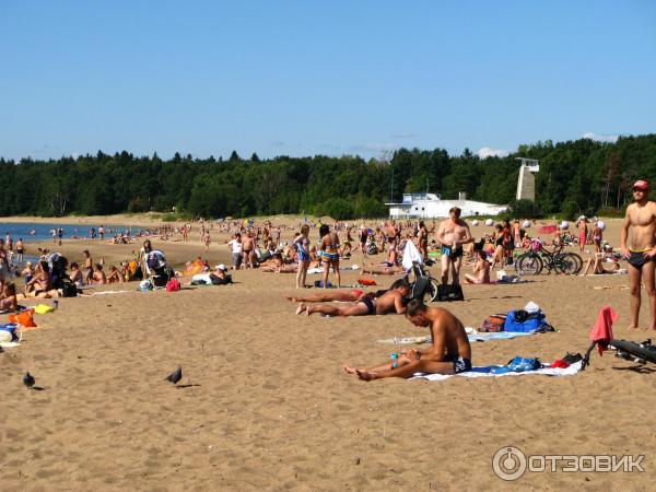 Пляж Ласковый в Солнечном-26