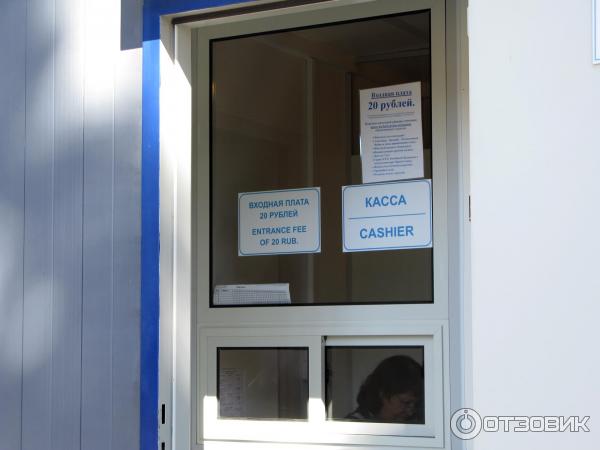 Пляж Ласковый в Солнечном-50