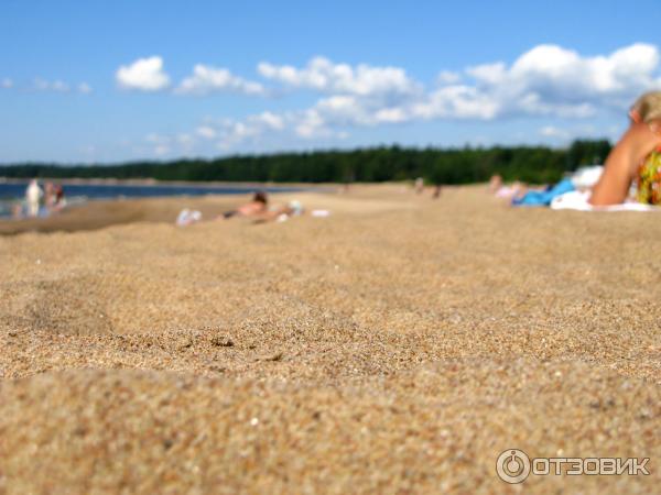 Пляж Ласковый в Солнечном-20