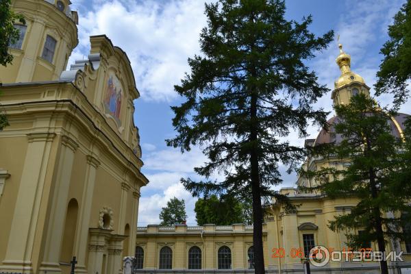 Петропавловский собор (Россия, Санкт-Петербург) фото