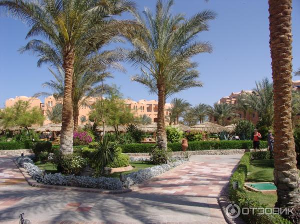 Растительность в отеле Iberotel Makadi Oasis