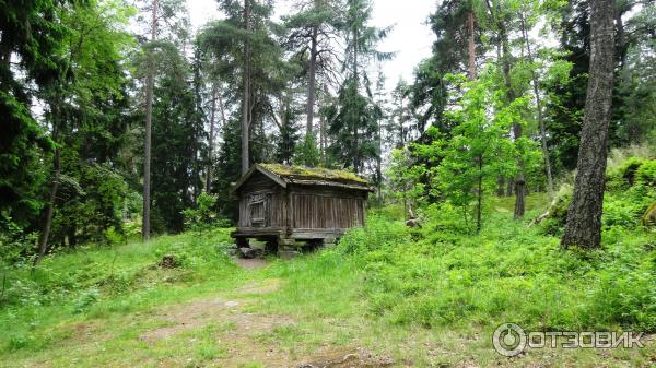 Остров Сеурасаари (Финляндия, Хельсинки) фото