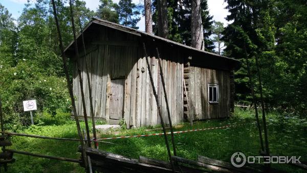 Остров Сеурасаари (Финляндия, Хельсинки) фото