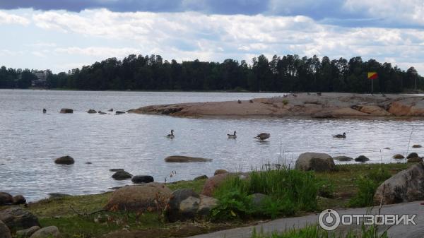 Остров Сеурасаари (Финляндия, Хельсинки) фото