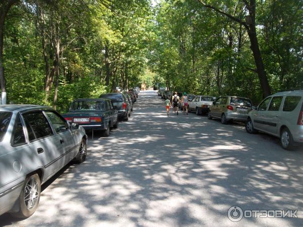 Сафари-парк Кудыкина гора (Россия, Липецкая область) фото