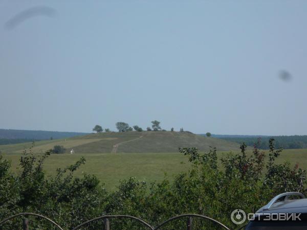 Сафари-парк Кудыкина гора (Россия, Липецкая область) фото