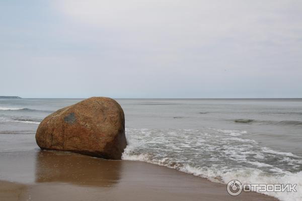 Балтийское море (Россия, Калининградская область) фото