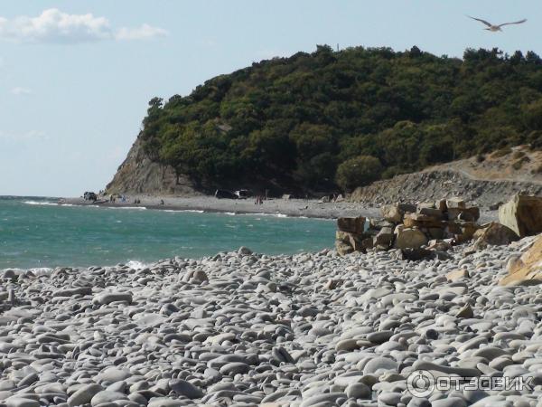 Отдых на Малом Утрише (Россия, Краснодарский край) фото