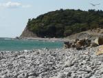 Поселок Малый Утриш (Россия, Краснодарский край) фото