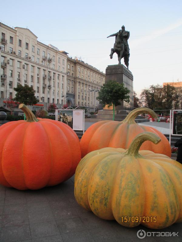 Гастрономический фестиваль Московская осень (Россия, Москва) фото