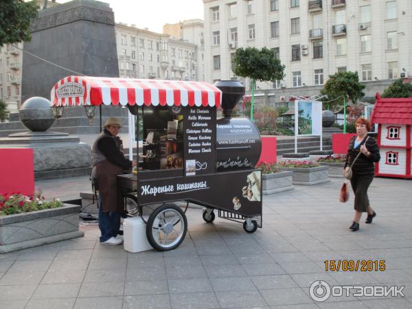 Гастрономический фестиваль Московская осень (Россия, Москва) фото