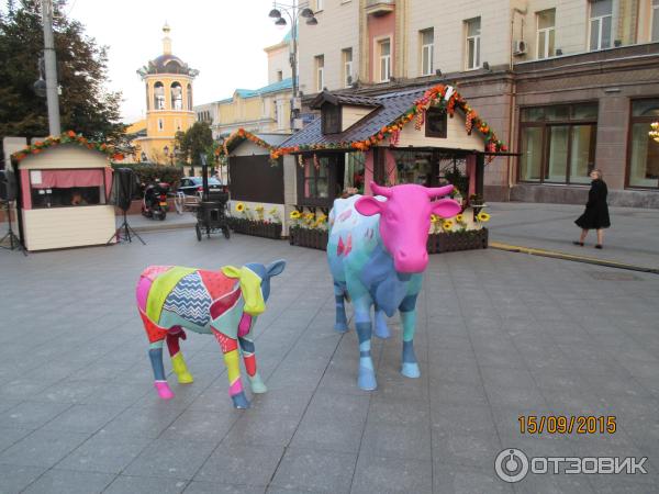 Гастрономический фестиваль Московская осень (Россия, Москва) фото