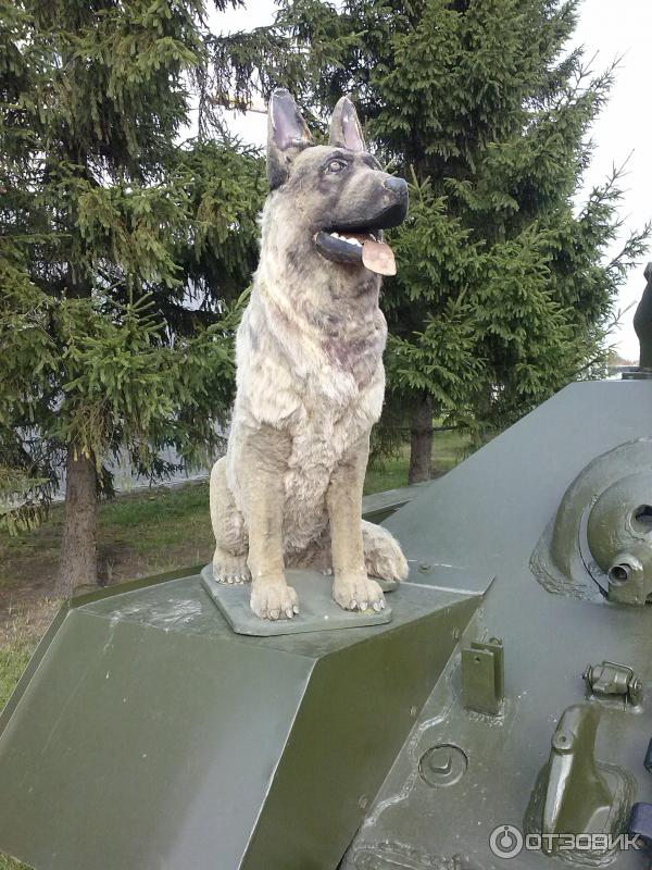 Музей военной техники Боевая слава Урала (Россия, Свердловская область) фото