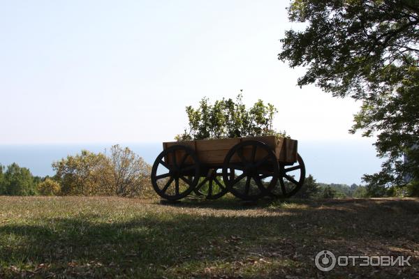 Отдых дикарем в Сочи (Россия, Сочи) фото