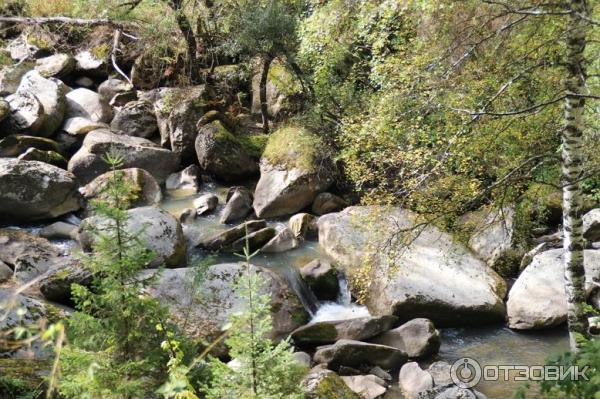 речка Белокуриха