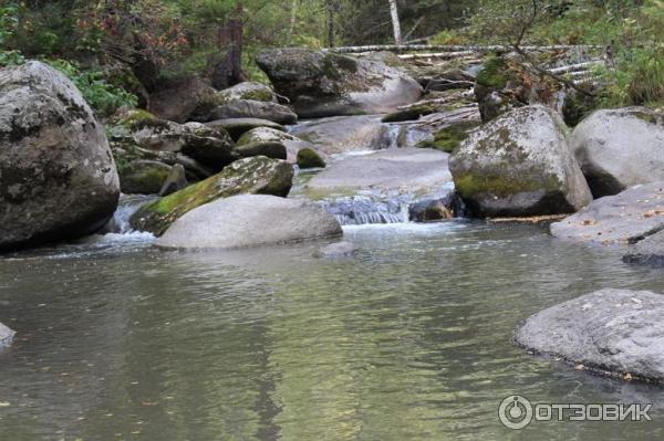 речка Белокуриха