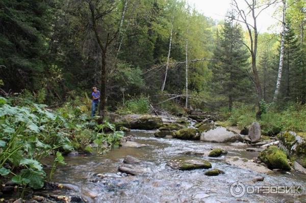 Пеший маршрут (терренкур) Старая мельница (Россия, Белокуриха) фото