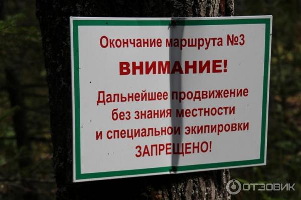 Пеший маршрут (терренкур) Старая мельница (Россия, Белокуриха) фото